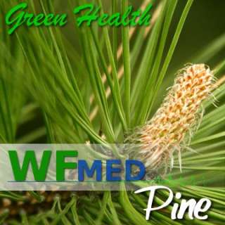 oz Pine PURE Essential Oil More Sizes Here Ship Deal  