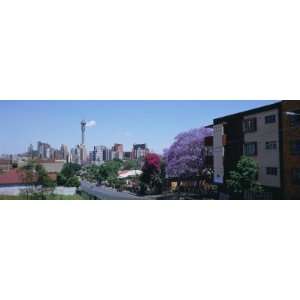   Johannesburg, South Africa by Panoramic Images , 12x36