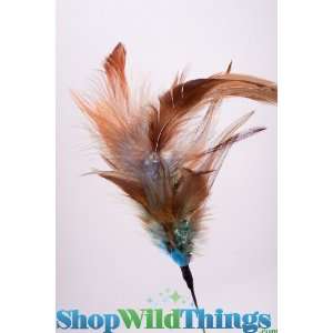 Peacock Feathers on a Stick   Blue & Brown  Kitchen 