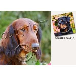 Dachshund Dog Drink Coasters   Long Hair 