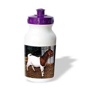 Farm Animals   Boer Doe Goat   Water Bottles  Sports 