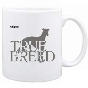  New  Whippet  The True Breed  Mug Dog: Home & Kitchen