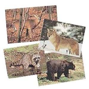  Delta Tru Life Eastern Game Animals Paper Target 