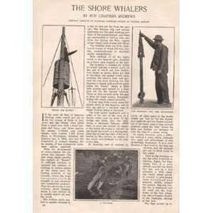    1915 Shore Whalers Whaling Harpoons Japan America 