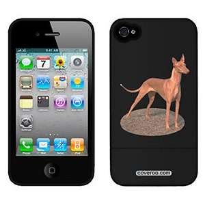  Pharaoh Hound on Verizon iPhone 4 Case by Coveroo  