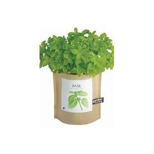 Grow Your Own Basil Herb Garden in a Bag: Grocery & Gourmet Food