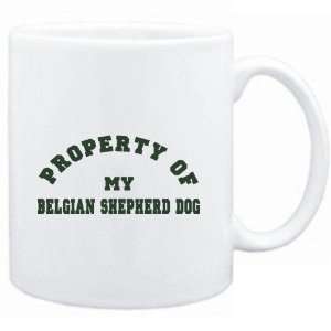   White  PROPERTY OF MY Belgian Shepherd Dog  Dogs