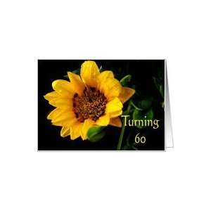  60th Birthday, yellow Gazania Card Toys & Games