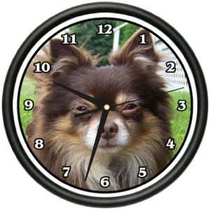   HAIR CHIHUAHUA Wall Clock dog doggie pet breed gift: Home & Kitchen