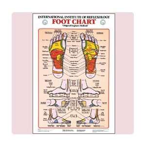  Reflexology Foot Chart, 17W x 31H   Model 558373: Health 