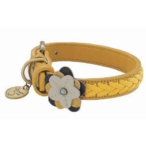  Sunflower Yellow Leather Dog Collar   Large: Pet Supplies