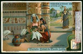 Sacred Ibis Bird Ancient Egypt Isis 1915 Card  