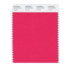   PANTONE SMART 18 1756X Color Swatch Card, Teaberry: Home Improvement