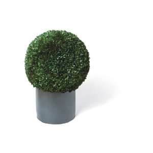  Foreside Boxwood Globe Topiary, XL