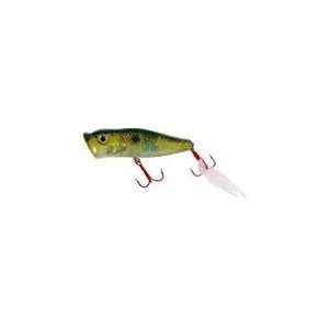  Laser Lure Popper: Sports & Outdoors