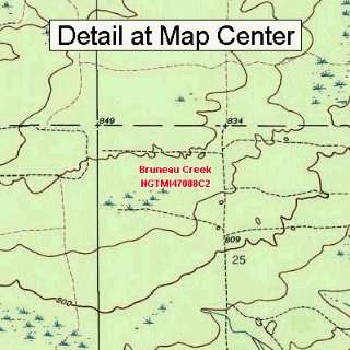  USGS Topographic Quadrangle Map   Bruneau Creek, Michigan 