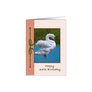  66th Birthday, Mute Swan Bird Card Toys & Games