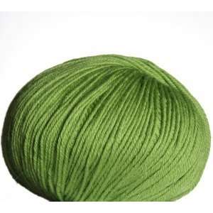  Cascade 220 Superwash Yarn   802   Green Apple: Arts 