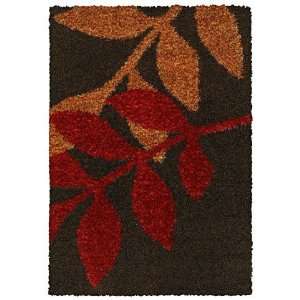  Shaw Encore Cadia Brown 8700 3 3 x 5 Area Rug: Home 