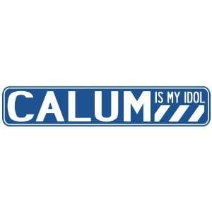   CALUM IS MY IDOL STREET SIGN