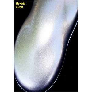  Stylin Basecoat + Reducer, Nevada Silver; 2 Quarts 