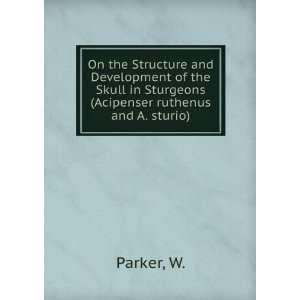   in Sturgeons (Acipenser ruthenus and A. sturio): W. Parker: Books