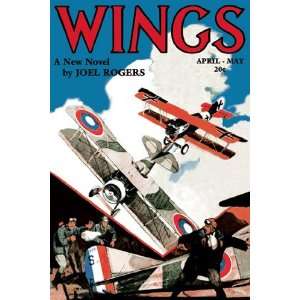  Wings   Poster by Rudolph Belarski (12x18): Home & Kitchen