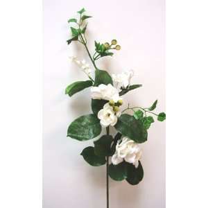   Ranunculus, 4 Stephanotis, Lily of the Valley & Leaves