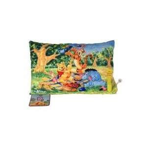  Disney Winnie The Pooh Storytime Pillow: Home & Kitchen