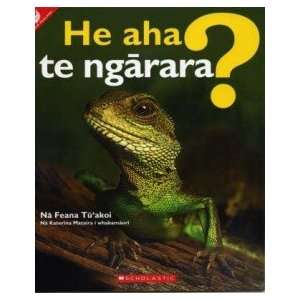   He aha te ngarara? (What is a reptile?) (Maori) Feana Tuakoi Books