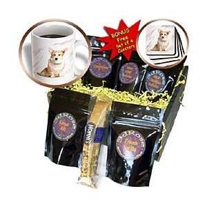 Dogs Corgi   Welsh Corgi   Coffee Gift Baskets   Coffee Gift Basket 