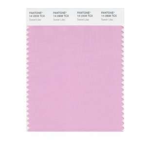  PANTONE SMART 14 2808X Color Swatch Card, Sweet Lilac 