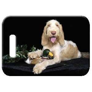  Set of 2 Spinone Italiano Luggage Tags 