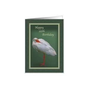  Birthday, 95th, White Ibis Bird Card Toys & Games