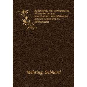   biz zum Beginn des 19. Jahrhunderts Gebhard Mehring Books