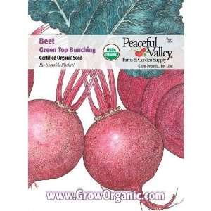  Organic Beet Seed Pack, Green Top Bunching: Patio, Lawn 