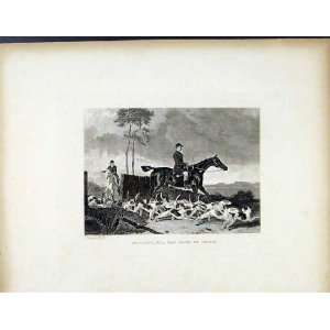   The Road To Cover Antique Print C1843 Dog Horse