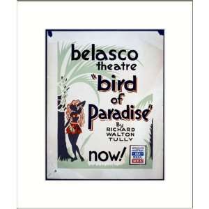   Poster (M) Bird of paradise by Richard Walton Tully