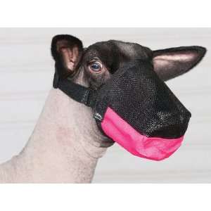    Deluxe Adjustable Goat/Sheep Muzzle   Hot Pink