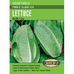  Lettuce Parris Island Cos Seeds Patio, Lawn & Garden