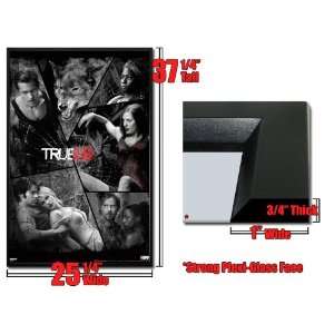   Framed True Blood Poster Shattered Mirror Fr PAS0242: Home & Kitchen