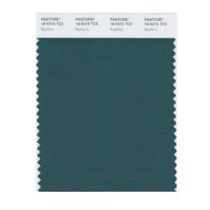  PANTONE SMART 18 5315X Color Swatch Card, Bayberry: Home 