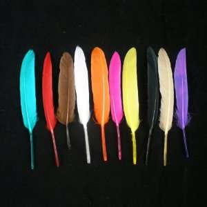  Miniature Goose Feather Cosse 3 5 Mixed Color Arts, Crafts & Sewing