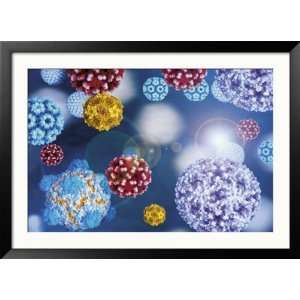  Cocktail of Human Disease Viruses Framed Photographic 