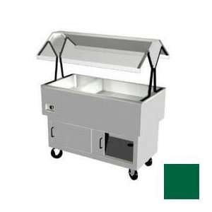   Hot/Cold Portable Buffet, 2 Sections, 240v, 44 3/8L, Fence Green