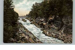 Hollis ME Saco River c1910 Postcard  