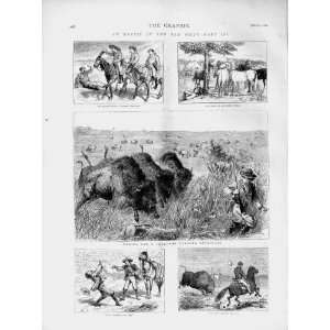  1874 Buffaloes Camp Mulberry Creek Horse Miners Men