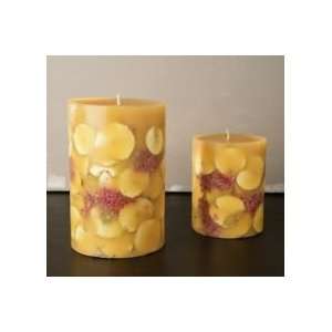  Rosy Rings Apple Pear Botanical Candle 300 hr.