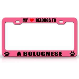 MY HEART BELONGS TO A BOLOGNESE Dog Pet Steel Metal Auto License Plate 