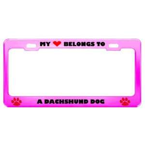  A Dachshund Dog Pet Pink Metal License Plate Frame Tag 